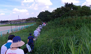 荒川河川敷の清掃活動