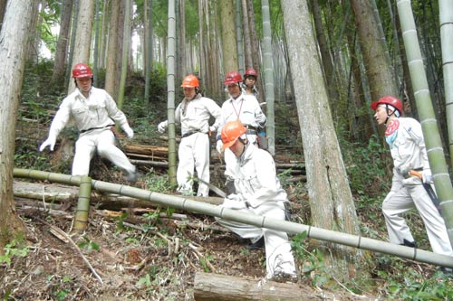 新入社員ボランティア（花咲き村　森林間伐）