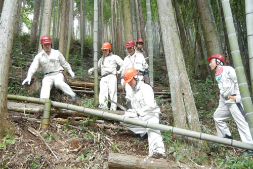 新入社員ボランティア（花咲き村　森林間伐）