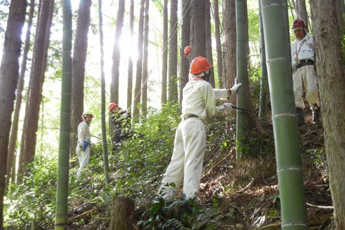 新入社員ボランティア（花咲き村　森林間伐）