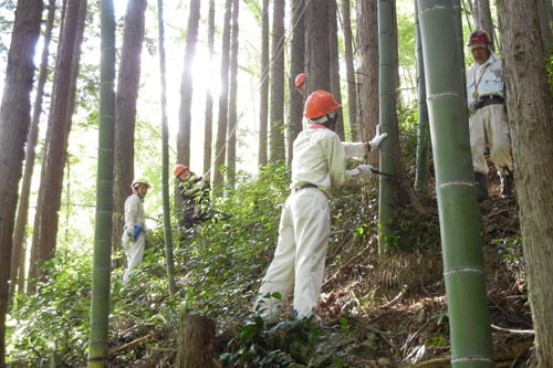 新入社員ボランティア（花咲き村　森林間伐）