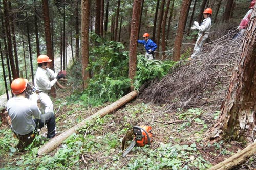 新入社員ボランティア（花咲き村　森林間伐）