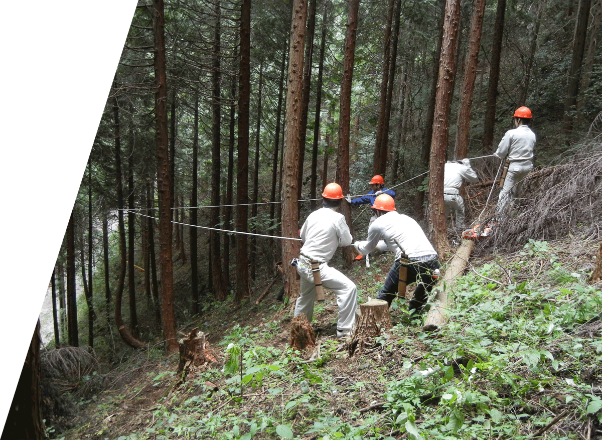 活動報告「榛通信」